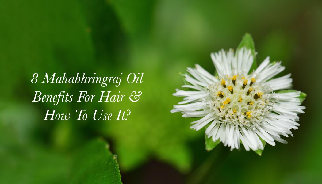 mahabhringraj oil